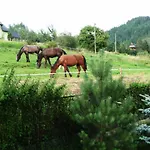 Dom Sosenek Homestay szállás *