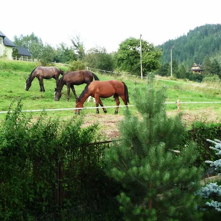 Dom Sosenek منزل للإقامة *