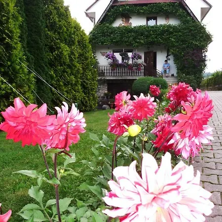 Dom Sosenek منزل للإقامة *