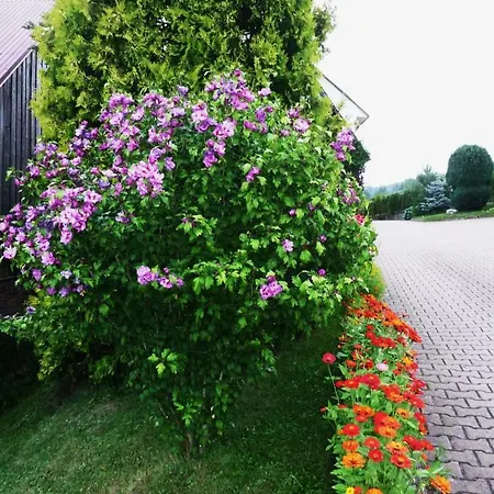 Dom Sosenek Séjour chez l'habitant
