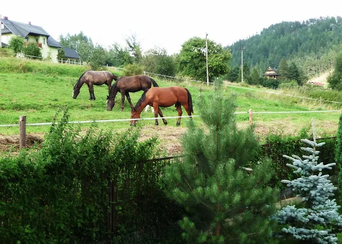 Dom Sosenek Pansiyon *