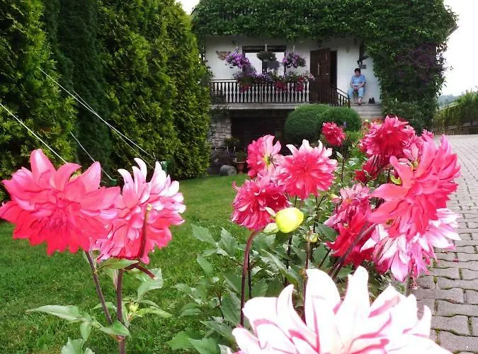 Dom Sosenek Ubytování v soukromí *