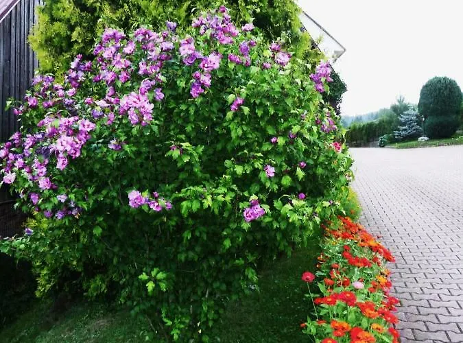 Dom Sosenek Ubytování v soukromí